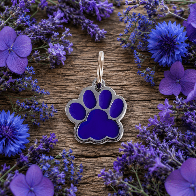 Médaille d'identification pattes de chien personnalisée