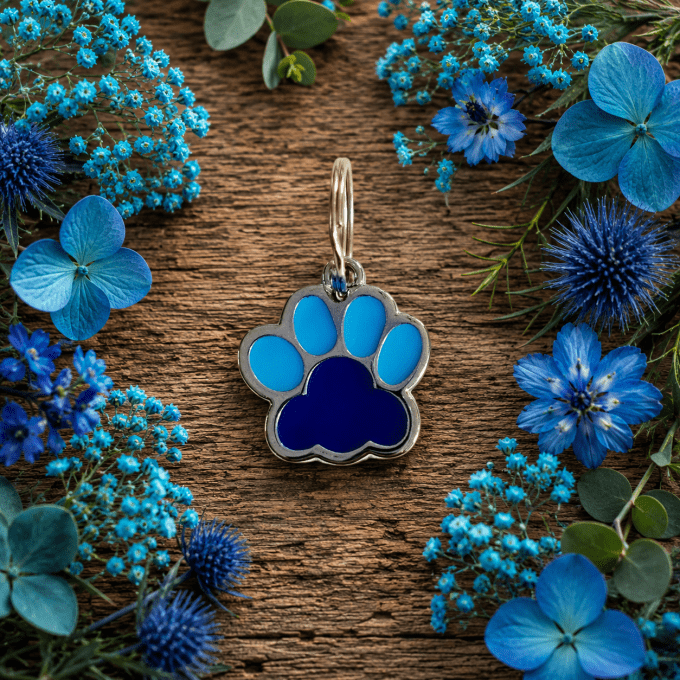 Médaille d'identification pattes de chien personnalisée