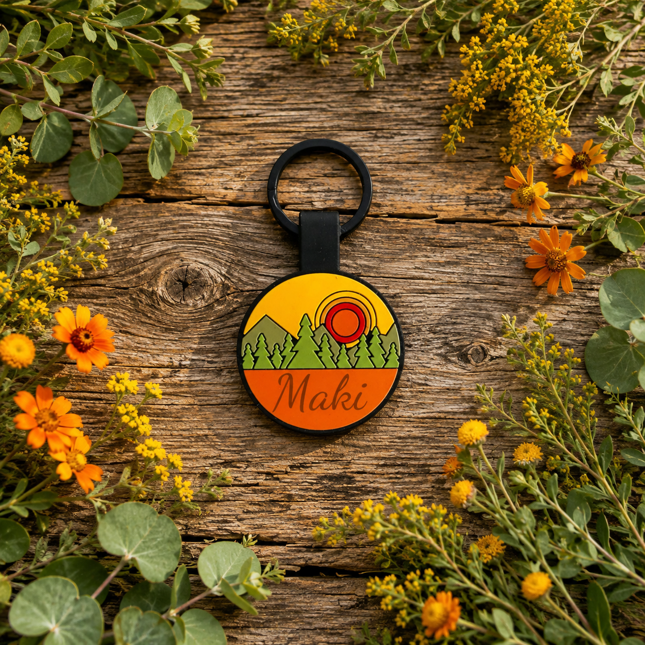 Accessoires pour chiens 